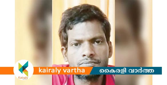 ട്രെയിൻ യാത്രക്കിടെ വിദ്യാർഥിനിയെ പീഡിപ്പിക്കാൻ ശ്രമം; തമിഴ്നാട് സ്വദേശി അറസ്റ്റിൽ