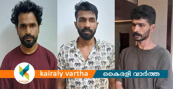 കോട്ടയം ജില്ലയിൽ രാസ ലഹരി വേട്ട; മൂന്നുപേർ അറസ്റ്റിൽ