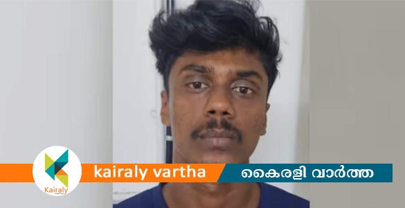 ഈരാറ്റുപേട്ടയിൽ കാപ്പാ കേസ് പ്രതിയെ പിടിക്കാനെത്തിയ പൊലീസുകാരന് കുത്തേറ്റു