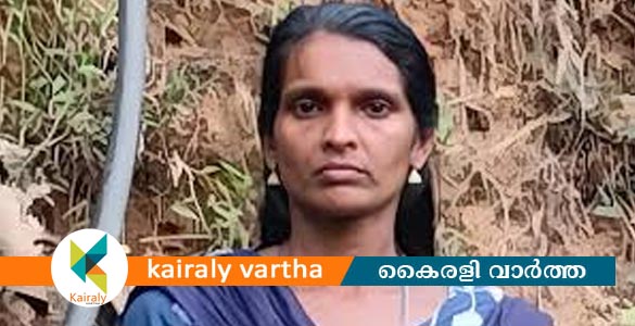 കോഴിക്കോട് വീട്ടമ്മയും വളർത്തുപശുവും ഷോക്കേറ്റ് മരിച്ച സംഭവം; രണ്ട് പേർ കൂടി പിടിയിൽ