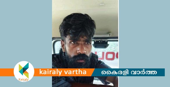 മദ്യപിച്ച് വാഹനമോടിച്ച് പോലീസ് വാഹനത്തിന് ഉൾപ്പെടെ കേടുപാടുകൾ വരുത്തി; പ്രതി പിടിയിൽ