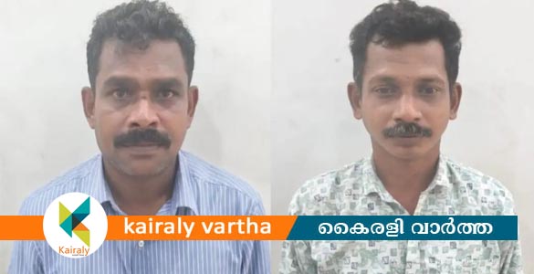 ഇളംകാട് സ്വദേശിയെ വീടുകയറി ആക്രമിച്ച് പരിക്കേൽപ്പിച്ചു; ഒളിവിലായിരുന്ന പ്രതികൾ പിടിയിൽ