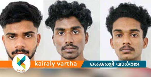 വിവാഹാലോചന നിരസിച്ചു; ഒറ്റപ്പാലത്ത് യുവതിയുടെ വീടിന് നേരെ ആക്രമണം, മൂന്ന് പേര്‍ പിടിയില്‍