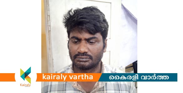 കൊലപാതകശ്രമം; തമിഴ്‌നാട് സ്വദേശിയായ പ്രതി പിടിയില്‍