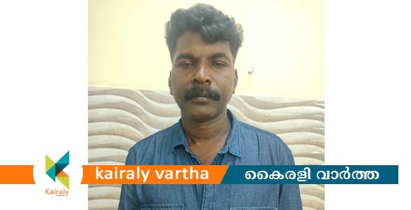 കോട്ടയത്ത് യുവാവിനെ കല്ലുകൊണ്ട് ആക്രമിച്ചശേഷം കുത്തി പരിക്കേൽപിച്ചു; പ്രതി പിടിയിൽ