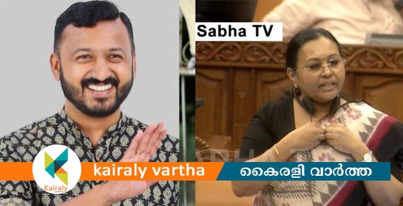 കുഞ്ഞുങ്ങളെ ഇല്ലാതാക്കുകയല്ല; സംരക്ഷിക്കുകയാണ് സർക്കാർ ചെയ്യുന്നത്- മന്ത്രി വീണാ ജോർജ്