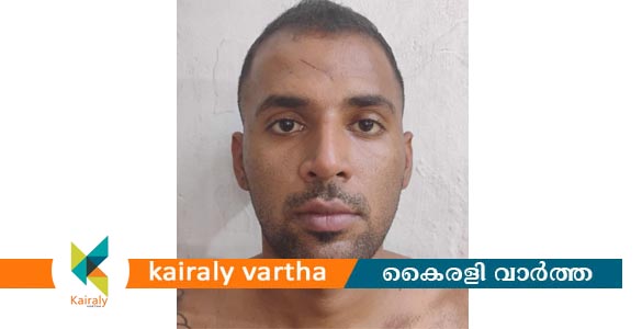 വസ്തു തർക്കത്തിലെ വിരോധം; യുവതിയെ കയ്യേറ്റം ചെയ്ത പ്രതി പിടിയിൽ