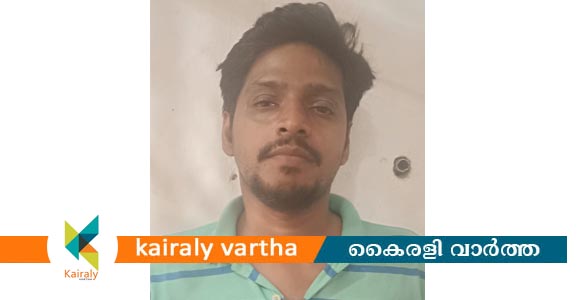വിദേശ ജോലി വാഗ്ദാനം ചെയ്തു പണം തട്ടിയ കേസിലെ പ്രതി ഏറ്റുമാനൂർ പോലീസിന്റെ പിടിയിൽ