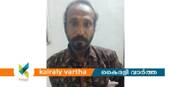 കോട്ടയം മെഡിക്കൽ കോളേജ് കേന്ദ്രീകരിച്ച് മൊബൈൽ ഫോൺ മോഷണം; പ്രതി പിടിയില്‍
