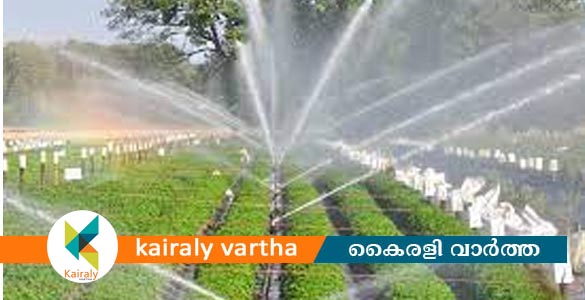 കുറവിലങ്ങാട് മൈക്രോ ഇറിഗേഷൻ പദ്ധതി നിർമ്മാണോദ്ഘാടനം നാളെ
