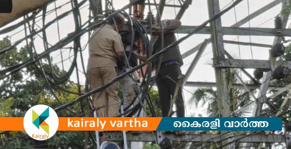 പൊൻകുന്നത്ത് കെഎസ്ഇബി കരാർ തൊഴിലാളിക്ക് വൈദ്യുതാഘാതമേറ്റു