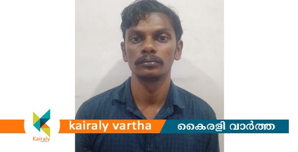 വീടിനുള്ളിൽ അതിക്രമിച്ചു കയറി വീട്ടമ്മയുടെ മാല പൊട്ടിച്ച് കൊണ്ടുപോയ കേസിലെ പ്രതി പിടിയിൽ