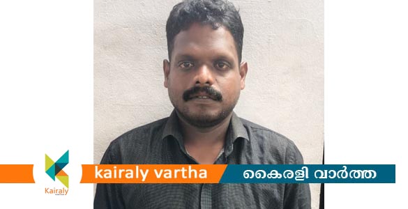 മാന്നാനത്ത് പിതാവിനെ ആക്രമിച്ച് ഗുരുതരമായി പരിക്കേൽപ്പിച്ച പ്രതി അറസ്റ്റിൽ