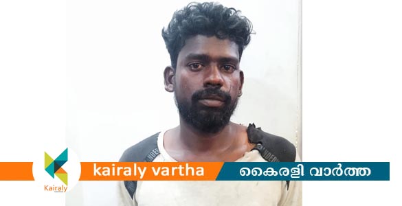 കോട്ടയത്ത് കാപ്പ ലംഘനം നടത്തിയ പ്രതി അറസ്റ്റിൽ