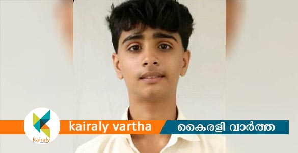 പാലക്കാട്ടെ വിദ്യാർഥിയുടെ ആത്മഹത്യ; ക്ലാസ് ടീച്ചർക്കും പ്രധാന അധ്യാപികയ്ക്കും സസ്‌പെൻഷൻ