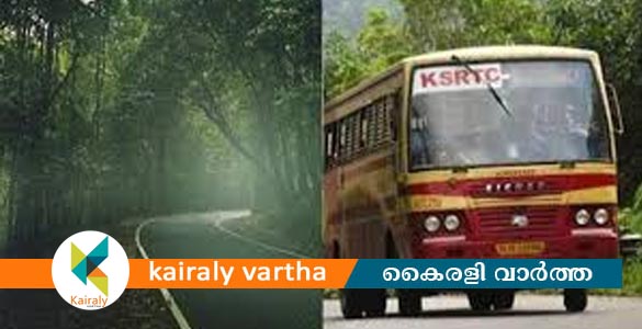 വന്യജീവികളുടെ ഫോട്ടോ എടുക്കാൻ ബസ് നിർത്തരുത്; കെഎസ്ആർടിസിക്ക് വനം വകുപ്പിന്റെ മുന്നറിയിപ്പ്
