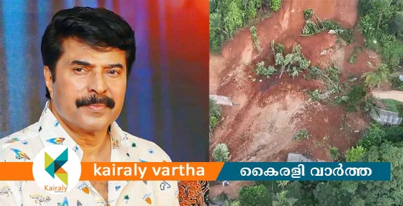 അടിമാലി മണ്ണിടിച്ചിൽ; സന്ധ്യയുടെ ചികിത്സാ ചെലവ് മമ്മൂട്ടിയുടെ കെയർ ആൻഡ് ഷെയർ ഇന്റർനാഷണൽ ഏറ്റെടുക്കും