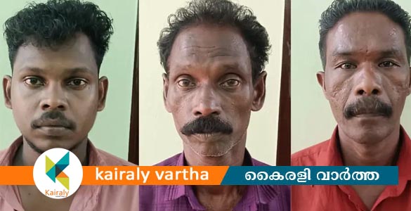 നവവധുവിന് 'ആഭിചാര പീഡനം'; മദ്യംകുടിപ്പിച്ചു, ബീഡിവലിപ്പിച്ചു; ഭര്‍ത്താവും മന്ത്രിവാദിയുമടക്കം അറസ്റ്റില്‍