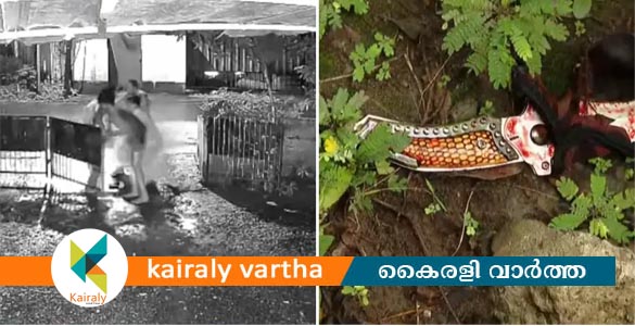 എംഡിഎംഎ വാങ്ങിയിട്ട് പണം നൽകിയില്ല, കാശ് ചോദിച്ചെത്തിയ ആദര്‍ശിനെ കൊന്നു; ദൃശ്യങ്ങൾ പുറത്ത്
