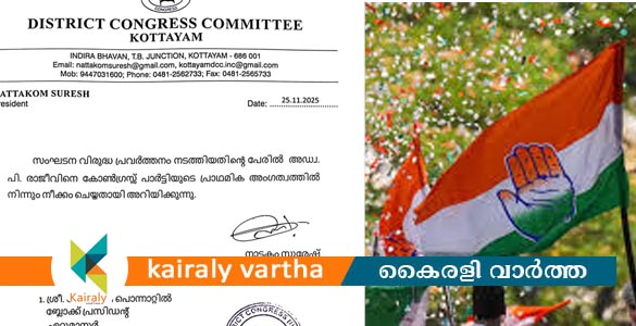 മന്ത്രിയെ പുകഴ്ത്തിയ ആളുൾപ്പെടെ ഒൻപത് പേർക്കെതിരെ കോൺഗ്രസിൽ കൂട്ടനടപടി