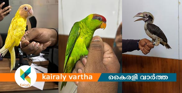 നെടുമ്പാശേരി വിമാനത്താവളം വഴി പക്ഷിക്കടത്ത്; ദമ്പതികൾ പിടിയിൽ