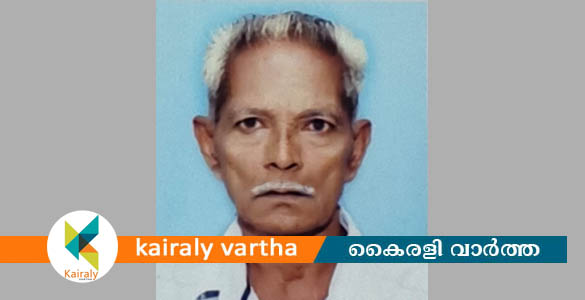 പേരൂർ മാലിയിൽ പുത്തൻപുരയിൽ മുരളീധരൻ നായർ അന്തരിച്ചു