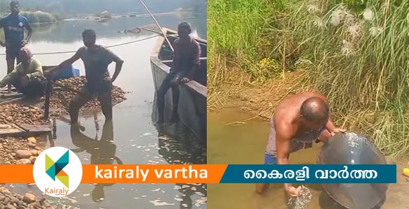 നിലമ്പൂര്&zwj; വനത്തിനുള്ളില്&zwj; സ്വര്&zwj;ണ ഖനനം; ഏഴ് പേര്&zwj; പിടിയില്&zwj;