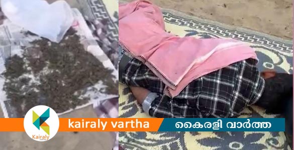 കഞ്ചാവ് ബീച്ചില്&zwj; ഉണക്കാനിട്ടു, കൂടെ കിടന്നുറങ്ങി; കോഴിക്കോട് യുവാവ് പിടിയില്&zwj;