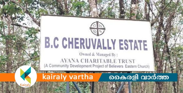 ശബരിമല വിമാനത്താവളം; ചെറുവള്ളി എസ്റ്റേറ്റില്&zwj; സര്&zwj;ക്കാരിന് ഉടമാവകാശമില്ലെന്ന് പാലാ സബ്കോടതി