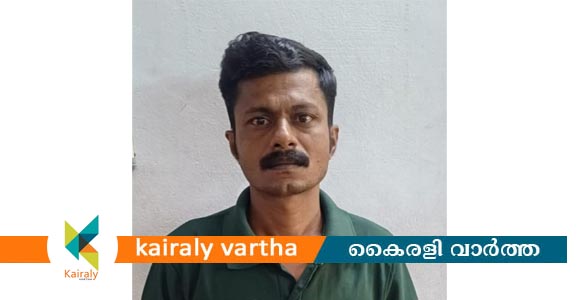 പെരുമ്പായിക്കാട് സ്വദേശിയുടെ വാഹനം മോഷ്ടിച്ചു; പ്രതി പിടിയിൽ