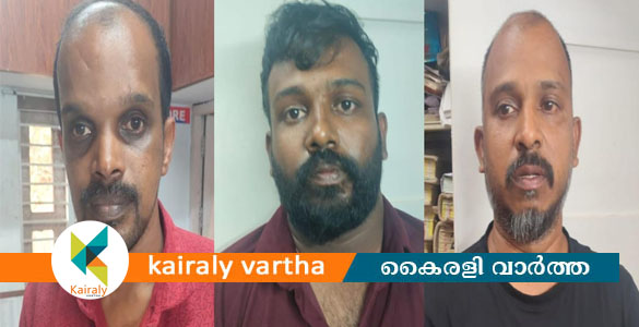 ഓൺലൈൻ ട്രേഡിംഗിന്റെ പേരിൽ ഒന്നരക്കോടിയോളം രൂപ തട്ടിപ്പു നടത്തി; 3 പ്രതികൾ കൂടി അറസ്റ്റിൽ
