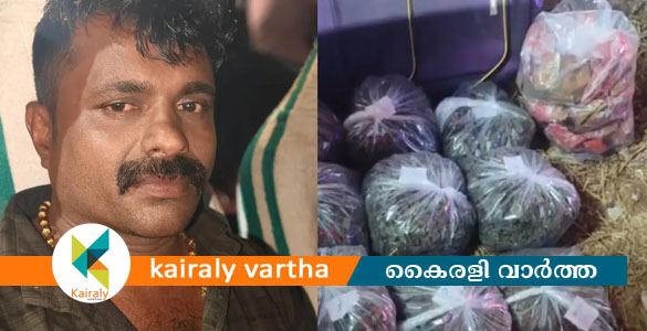 കാറിൽ കടത്തിക്കൊണ്ടുവന്ന 21 കിലോ കഞ്ചാവുമായി 60-കാരിയും മകളും മരുമകനും പിടിയിൽ