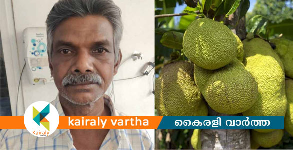 ചോദിക്കാതെ ചക്ക എടുത്തു; പൂവരണിയിൽ അയൽവാസിയെ വെട്ടിക്കൊലപ്പെടുത്തിയ പ്രതിക്ക് ജീവപര്യന്തം