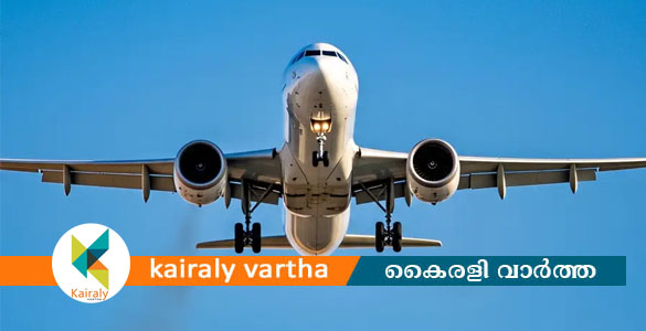 എയർഹോസ്റ്റസിന് നേരെ ലൈംഗികാതിക്രമം; സിംഗപ്പൂരിൽ ഇന്ത്യൻ പൗരൻ അറസ്റ്റിൽ