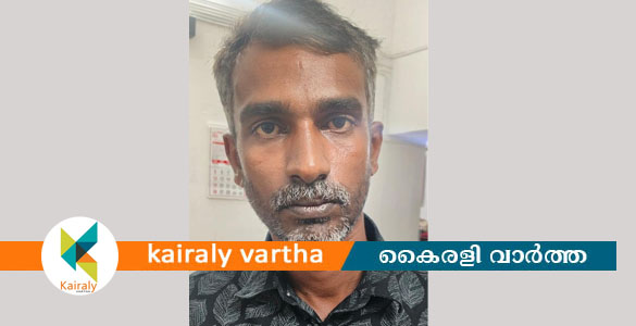 മോനിപ്പള്ളിയിൽ വീട് കുത്തിതുറന്ന് മോഷണം: പ്രതി അറസ്റ്റിൽ