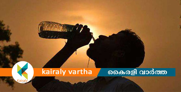 കനത്ത ചൂട്: സുരക്ഷാ മുൻകരുതലുകൾ സ്വീകരിക്കണമെന്ന് കോട്ടയം ജില്ലാ കളക്ടർ