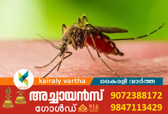ആലപ്പുഴ ജില്ലയിൽ വയോധികയ്ക്ക് വെസ്റ്റ് നൈൽ പനി സ്ഥിരീകരിച്ചു