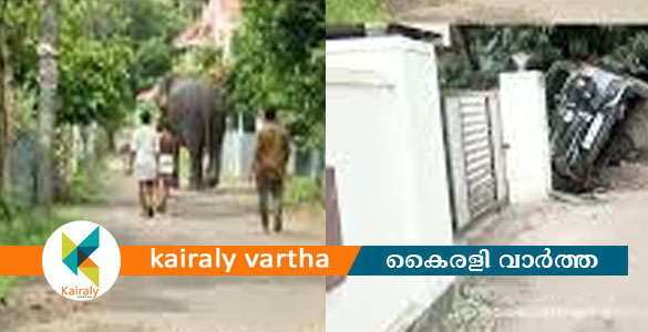 തൃശ്ശൂരിൽ ആന ഇടഞ്ഞു; വാഹനങ്ങളും വീടുകളുടെ ഗേറ്റുകളും തകർത്തു