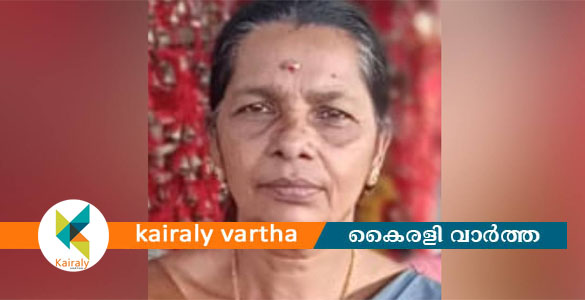 മാങ്ങ പറിക്കുന്നതിനിടെ തോട്ടി വൈദ്യുതി ലൈനില്&zwj; തട്ടി; വൈക്കത്ത് വയോധികയ്ക്ക് ദാരുണാന്ത്യം