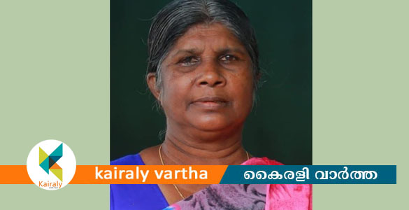 അമീബിക് മസ്തിഷ്&zwnj;ക ജ്വരം ബാധിച്ച് ചികിത്സയിലായിരുന്ന 60 കാരി മരിച്ചു
