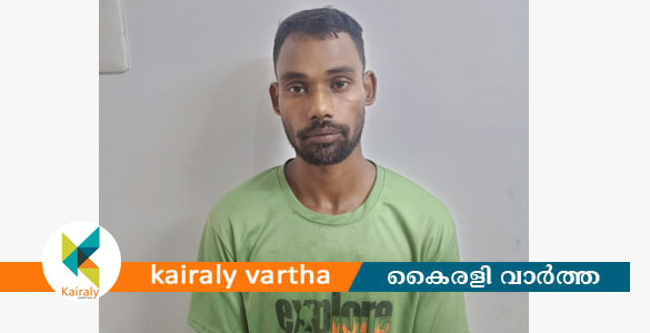 മുറിയെ ചൊല്ലി തർക്കം: കോട്ടയത്ത് സഹോദരനെ കൊലപ്പെടുത്തിയ കേസിൽ യുവാവ് അറസ്റ്റിൽ
