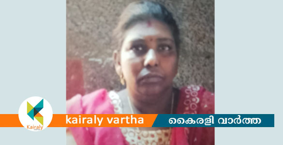 തിടനാട്ടിൽ യുവതിയെ തോട്ടിൽ മരിച്ച നിലയിൽ കണ്ടെത്തി