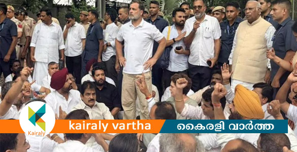 പ്രധാനമന്ത്രിയുടെ വീടിന് മുന്നിൽ പ്രതിഷേധം; രാഹുൽ ​ഗാന്ധിയും പ്രിയങ്ക​ഗാന്ധിയും അറസ്റ്റിൽ