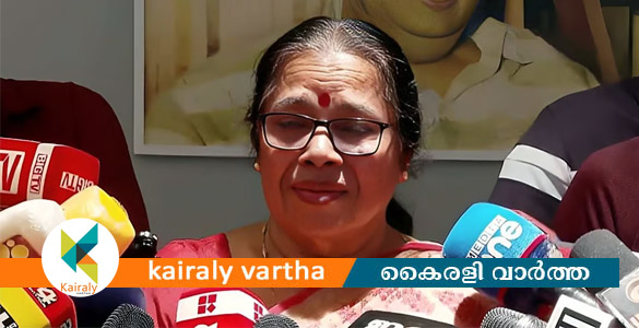 ഓൺലൈൻ മാധ്യമങ്ങളിൽ വ്യാജപ്രചാരണം; മാധ്യമങ്ങൾക്ക് മുന്നിൽ പൊട്ടിക്കരഞ്ഞ് പി.കെ ശ്രീമതി