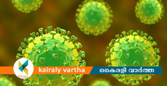 നിപയിൽ ആശ്വാസം; ഗുരുതരാവസ്ഥയിലായിരുന്ന രാമനാട്ടുകര സ്വദേശിയെ വെന്റിലേറ്ററിൽ നിന്ന് മാറ്റി