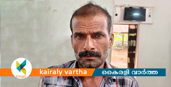 പ്രായമായില്ലേ മരിച്ചൂടെ? അമ്മയെ കൊല്ലാൻ ശ്രമിച്ച മകൻ അറസ്റ്റിൽ; മണ്ണെണ്ണ കുടിച്ച് മാതാവ്