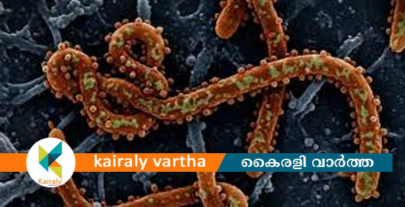കോഴിക്കോട് നിപ ബാധിച്ച് ചികിത്സയിലിരുന്ന 43കാരന്&zwj; ആശുപത്രി വിട്ടു
