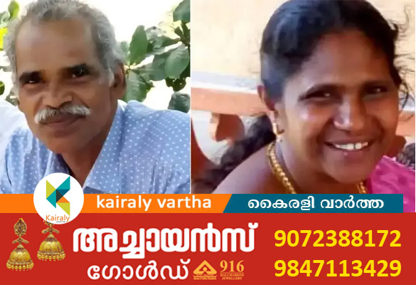 ഇടുക്കിയില്&zwj; മകന്&zwj; അച്ഛനെയും അമ്മയെയും കൊലപ്പെടുത്തി
