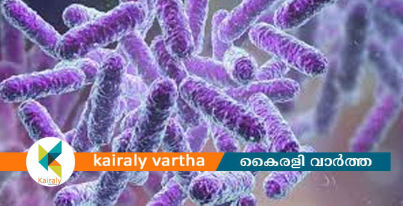 തിരുവനന്തപുരത്ത് മൂന്ന് വയസുകാരിക്ക് ഷിഗെല്ല രോഗം സ്ഥിരീകരിച്ചു