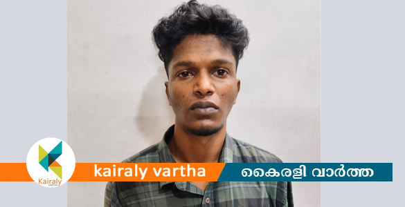 വീടിന്&zwj;റെ ചലനങ്ങൾ നിരീക്ഷിച്ച് മോഷണം; തിരുവാതുക്കൽ സ്വദേശി പിടിയിൽ